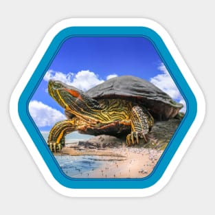 Giant Turtle Beach Sticker